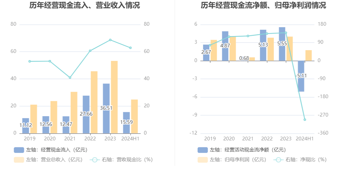 佳电股份：2024年上半年净利润175亿元同比下降1957%(图7)