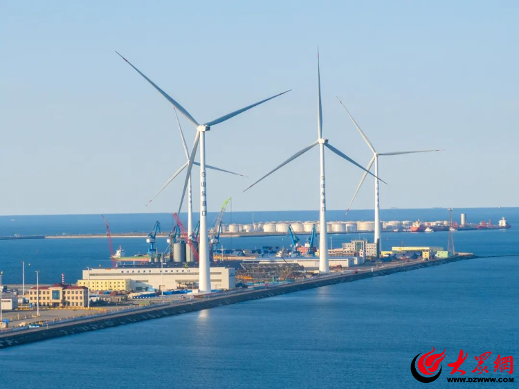 ？全国首个“零碳港口”风电项目建设纪实(图1)