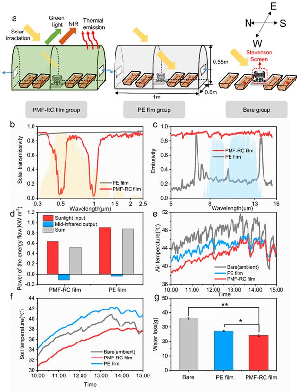中科大刘文李明ACSPhotonics：一种低成本、可大规模生产的缓解植物热胁迫的聚合物多层辐射冷却膜(图2)