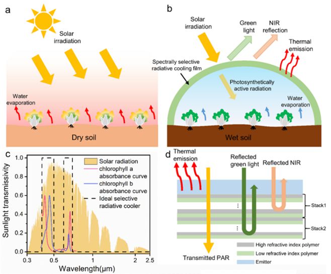 中科大刘文李明ACSPhotonics：一种低成本、可大规模生产的缓解植物热胁迫的聚合物多层辐射冷却膜(图1)