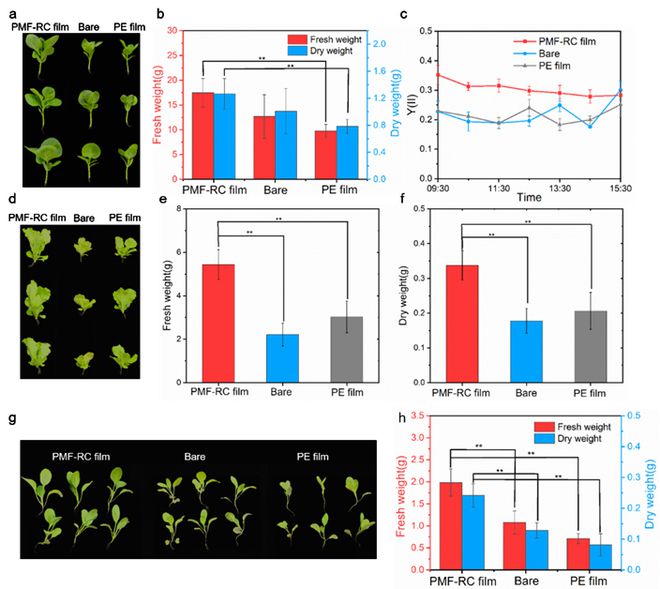 中科大刘文李明ACSPhotonics：一种低成本、可大规模生产的缓解植物热胁迫的聚合物多层辐射冷却膜(图3)