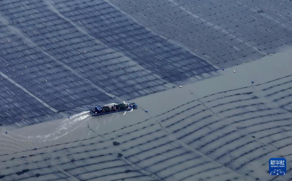 兴蓉环境业绩快报：2024年归母净利润同比增长828%(图6)
