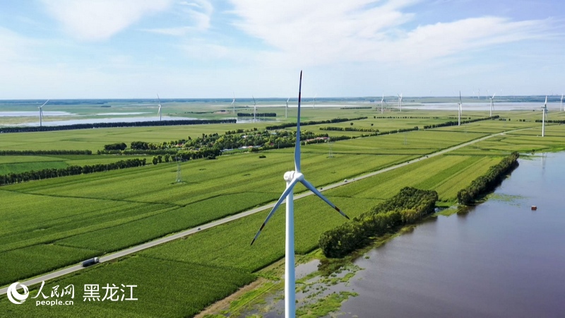 龍江新觀察丨風電光伏雙驅動龍江縣瞄准縣域經濟“新賽道”