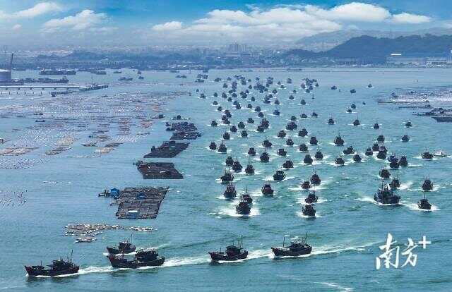 米乐m6科技：向海图强广东这样打造“粤海粮仓”(图4)