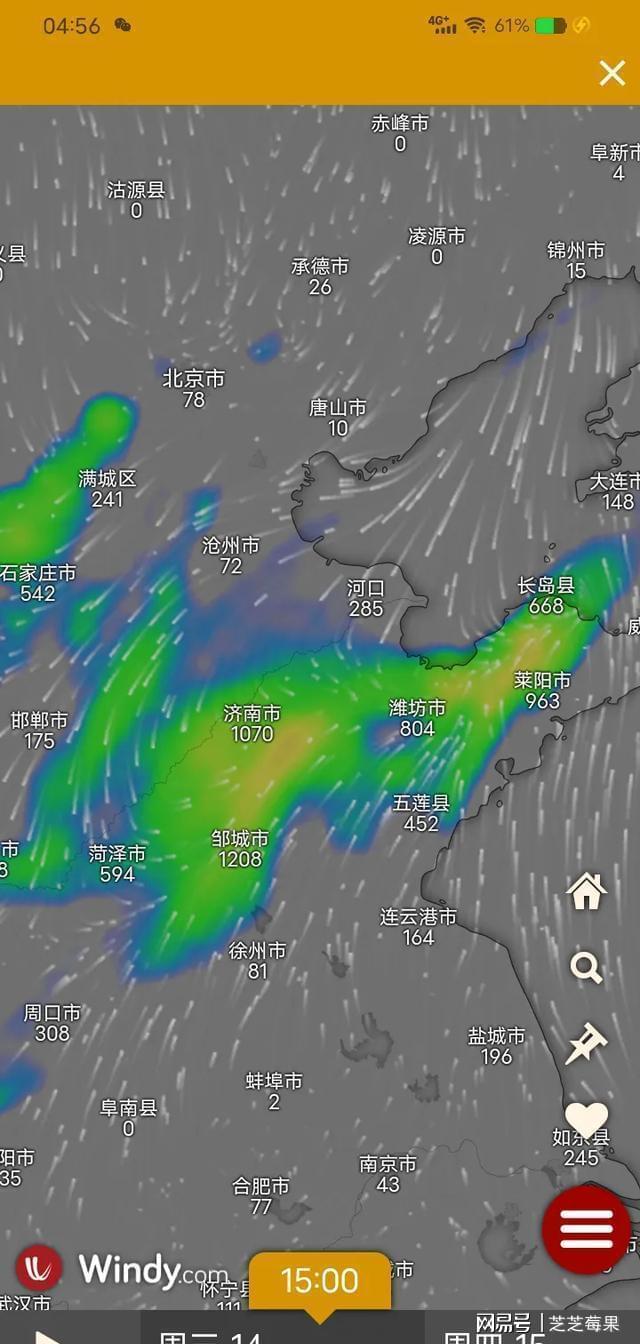 山东14号迎雷雨！这些地方农户得赶紧做准备了(图3)