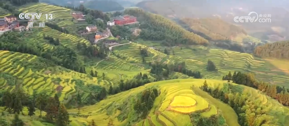 从“景”看“绿”！“两山”理念让美丽中国可感可知(图3)