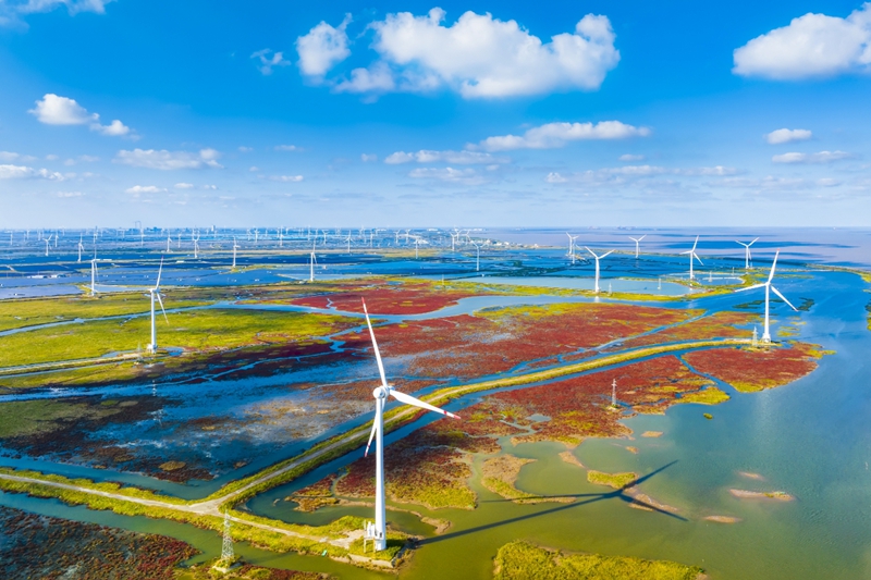 盐城何以成为全球滨海论坛“会客厅”？(图2)