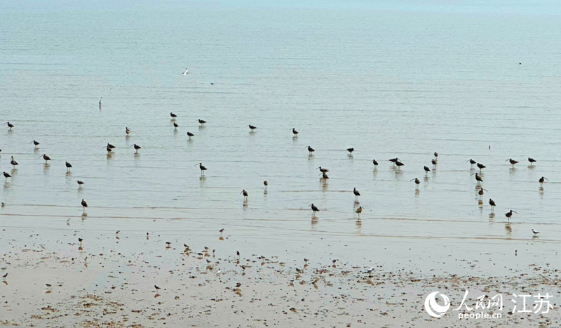 盐城何以成为全球滨海论坛“会客厅”？(图1)