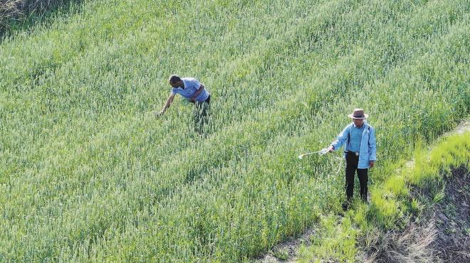 米乐m6科技：产业“四地”建设引领高质量发展绿色跃迁——青海“十四五”发展成就巡礼之十三(图1)