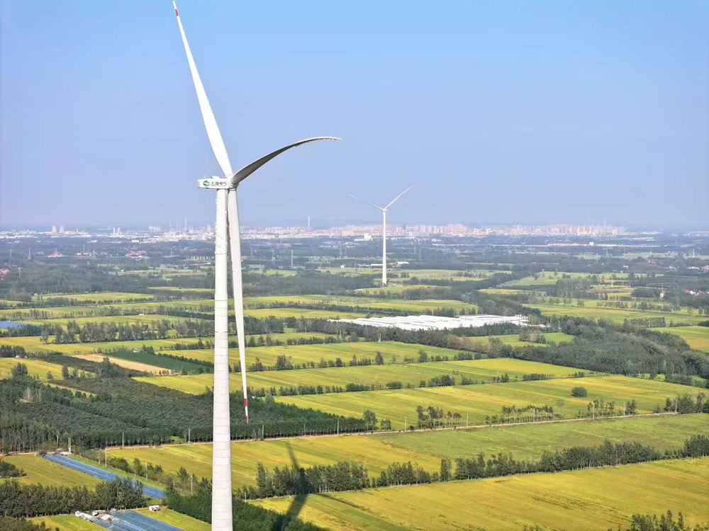 从上电“落子”解码郯城好“风光”(图1)