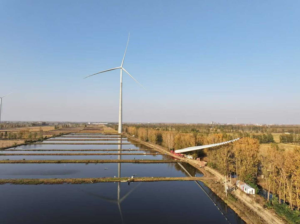 从上电“落子”解码郯城好“风光”(图3)