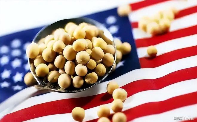 污蔑完中国特朗普离开瑞士临走前告知全球中方大幅购买美豆(图4)