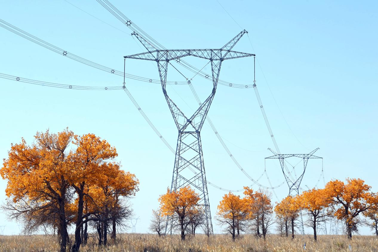 跨越“十四五”能源答卷：风光储氢协同发展能源消费“逐绿前行”(图3)